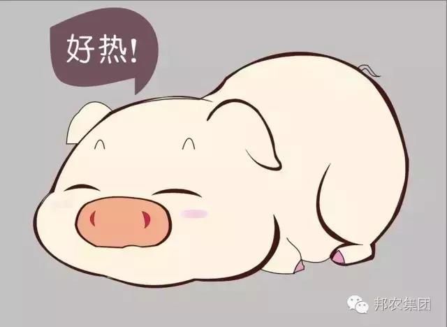 給我二十四小(xiǎo)時(shí),換你(nǐ)一(yī)個(gè)健康的(de)豬場(chǎng).jpg