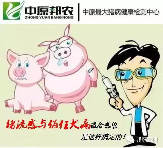 中原邦農(nóng)豬病健康檢測中心.jpg