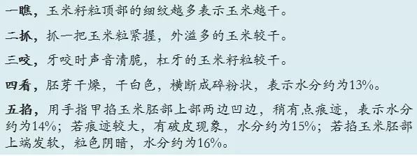 玉米籽粒含水(shuǐ)量感官判定經驗.jpg