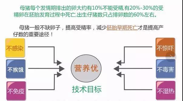 PSY管理(lǐ)2.jpg
