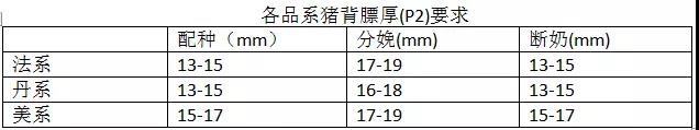 PSY管理(lǐ)3.jpg