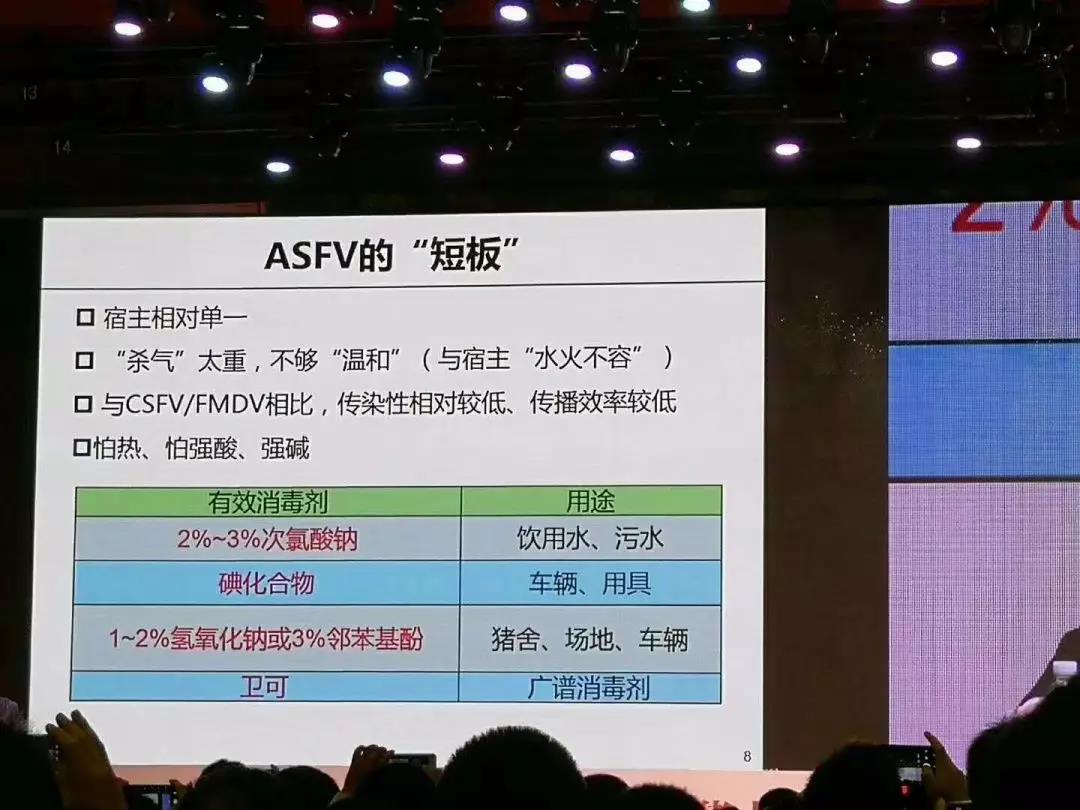 非洲豬瘟3.jpg