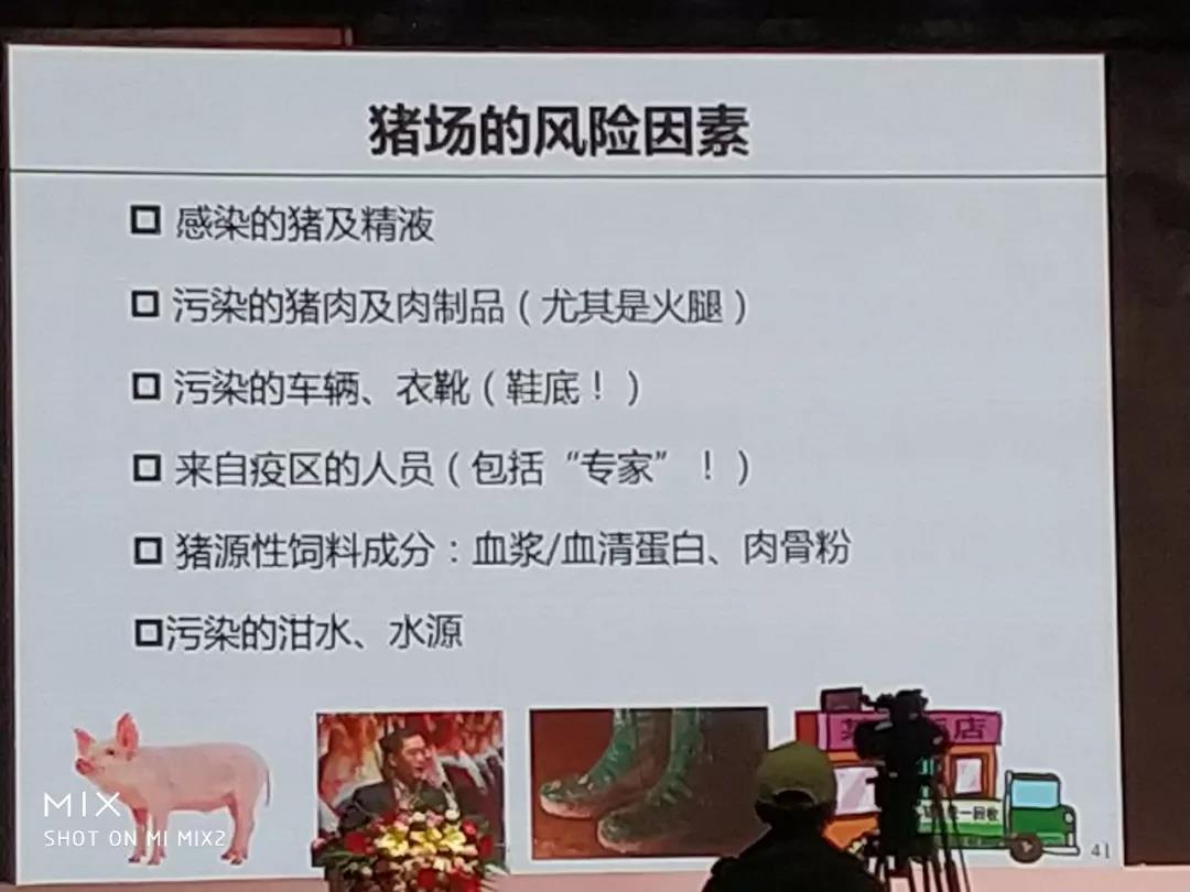 非洲豬瘟5.jpg