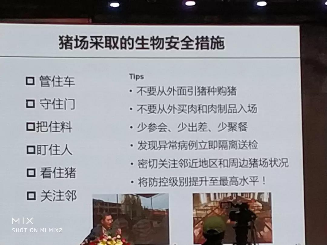 非洲豬瘟6.jpg
