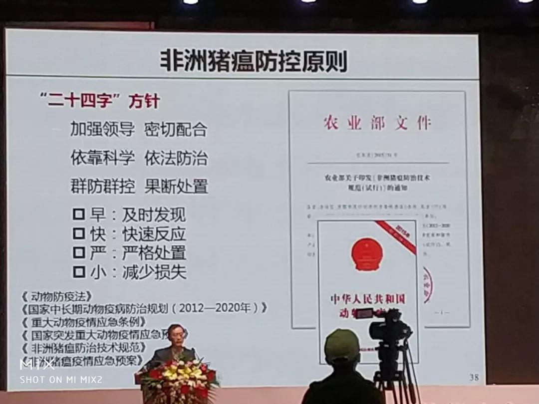 非洲豬瘟7.jpg