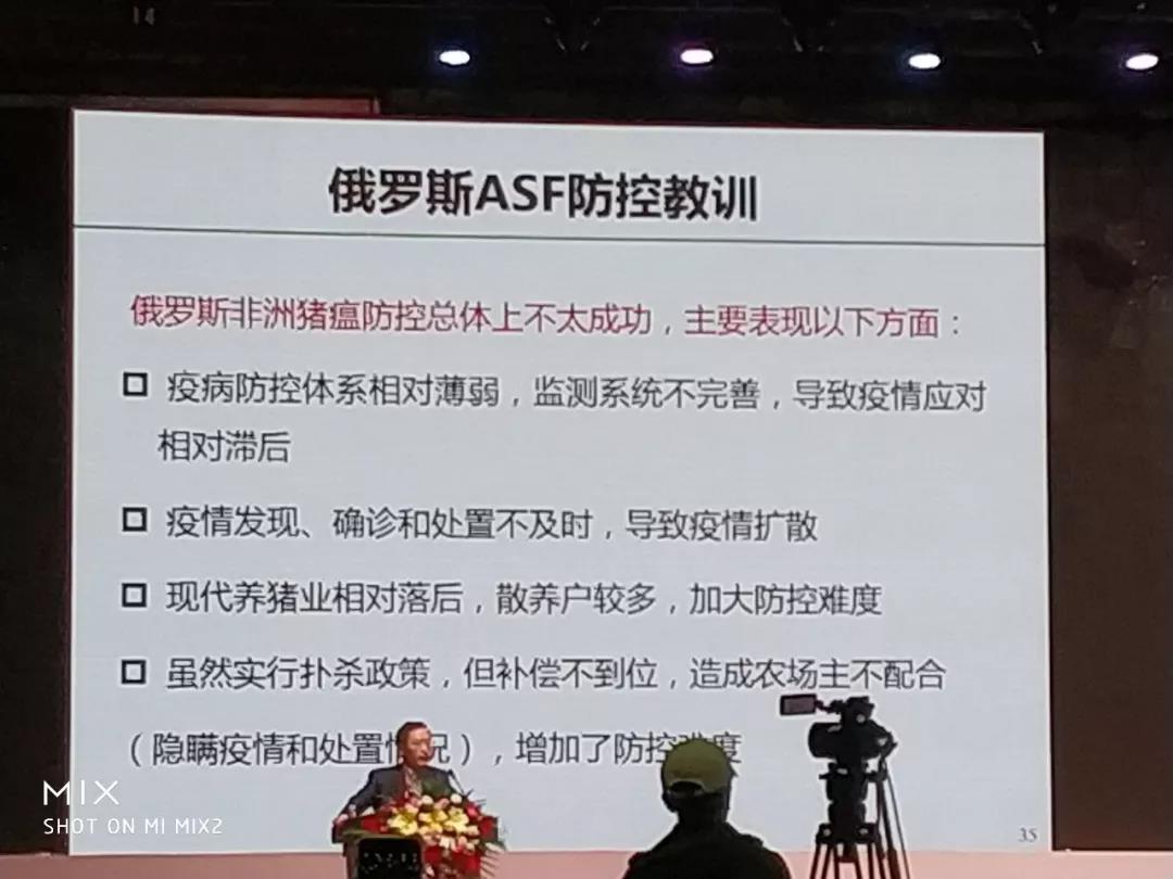 非洲豬瘟9.jpg