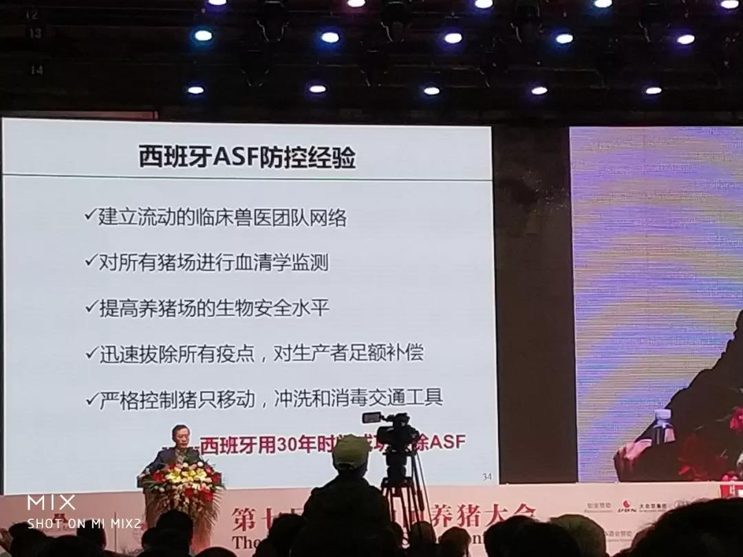 非洲豬瘟10.jpg