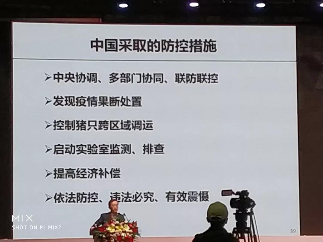 非洲豬瘟11.jpg