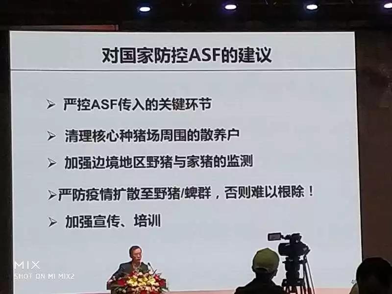 非洲豬瘟12.jpg