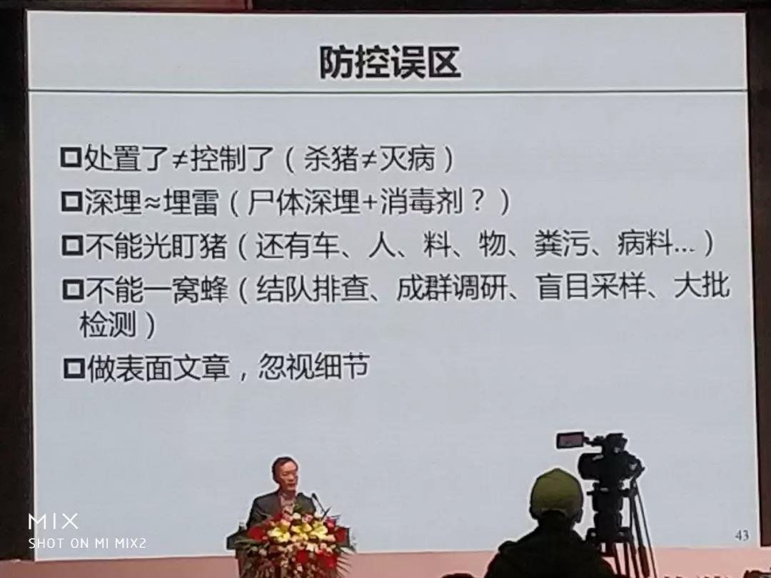 非洲豬瘟13.jpg