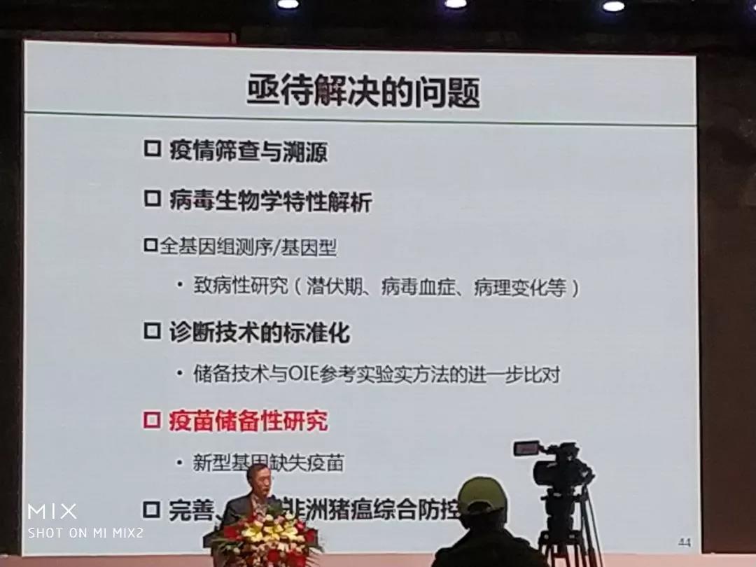 非洲豬瘟14.jpg
