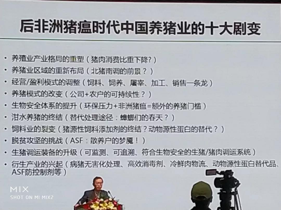 非洲豬瘟15.jpg