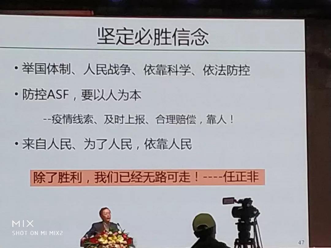 非洲豬瘟16.jpg