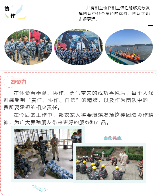 微(wēi)信截圖_20200527172532.png 熔煉團隊 共赢未來(lái)丨大(dà)區(qū)經理(lǐ)2020烽狼特訓拓展活動完美(měi)落幕